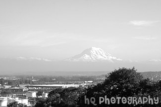 Mt. Rainier From Tacoma black and white picture