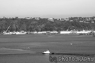 Commencement Bay in Fall black and white picture