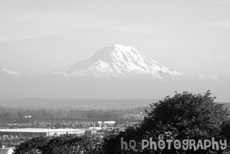 Mt. Rainier View at Tacoma black and white picture