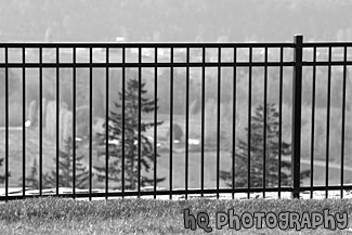 Black Rod Iron Fence black and white picture