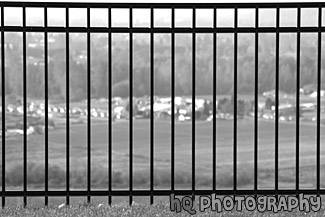 Close Up of a Rod Iron Fence black and white picture