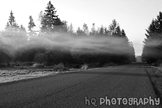 Fog Over Roadway black and white picture