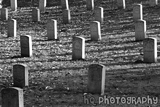 Graves & Autumn Leaves black and white picture