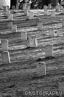 Graves on a Hill black and white picture