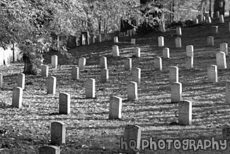 Autumn Cemetary Scene black and white picture