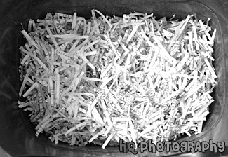 Shredded Paper black and white picture