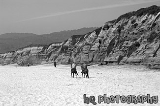 Horseback Riding on the Beach black and white picture