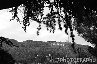 Hollywood Sign in Distance black and white picture