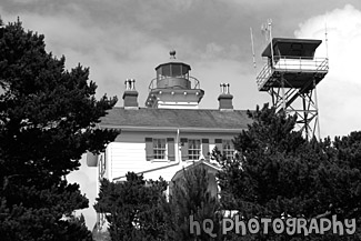 Scenic Lighthouse black and white picture