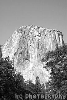 El Capitan black and white picture