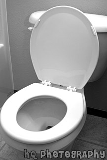 White Toilet black and white picture