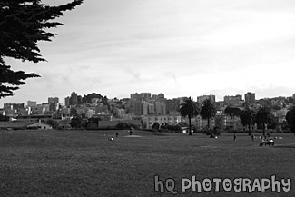 Green Grass Park black and white picture