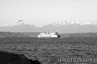 Ferry Boat & Olympics black and white picture