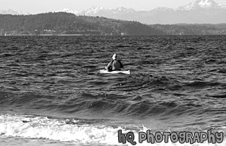 Back of a Kayaker black and white picture