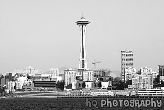 Seattle Space Needle & Olympics black and white picture
