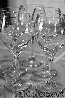 Wine Glasses black and white picture