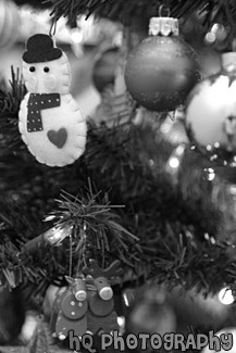 Ornaments Close Up black and white picture