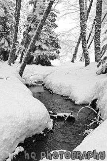 Water Creek Between Snow black and white picture