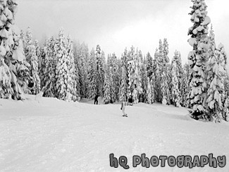 Snowboarder & Winter Snow black and white picture