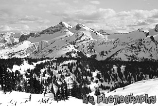 Snowy Hills black and white picture