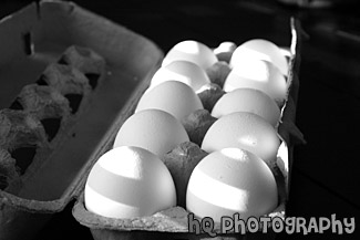 Eggs in a Carton black and white picture