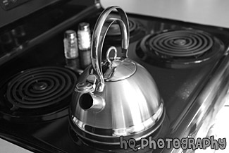Silver Tea Kettle black and white picture