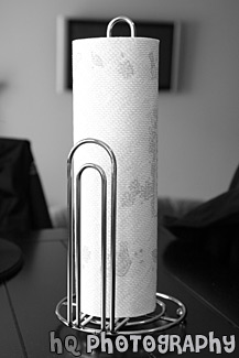 Paper Towel Holder black and white picture
