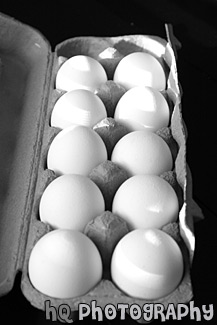 10 Eggs in a Carton black and white picture