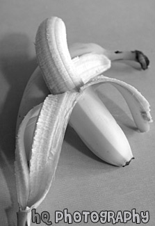 Peeled Banana black and white picture