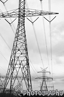 Power Lines black and white picture