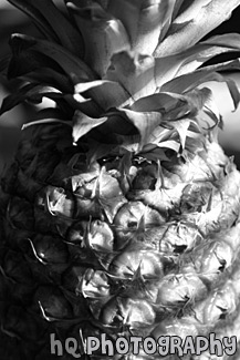 Pineapple Close Up black and white picture