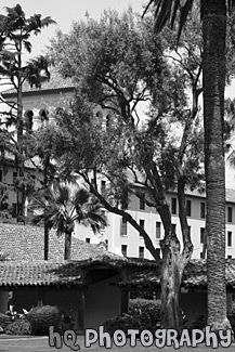 Nobili Hall Behind Trees at Santa Clara University black and white picture