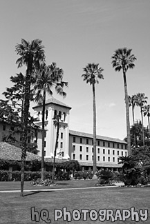 Nobili Hall & Palm Tress in Mission Gardens, Santa Clara black and white picture