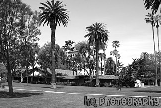 Santa Clara University Mission Gardens black and white picture