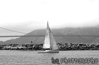 Golden Gate Bridge & Sailboat black and white picture