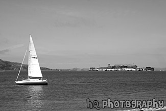 Alcatraz & Sailboat black and white picture