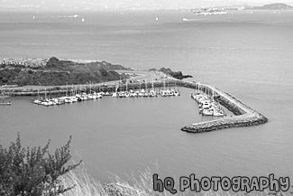 San Franicsco Bay black and white picture