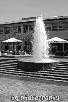 Fountain in front of Benson black and white picture