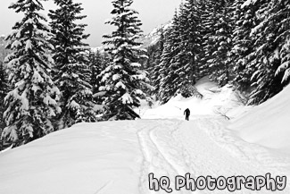 Man Snowshoeing Up Hill black and white picture