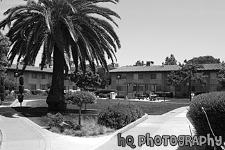 Graham Residence Hall black and white picture