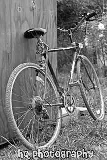 Black Bicycle black and white picture