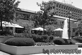 Outside Benson Dining Center black and white picture