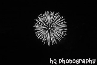 Red Fireworks black and white picture