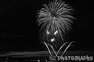 Purple Fireworks black and white picture