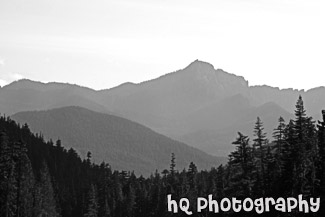 Hills of Mt. Rainier National Park black and white picture