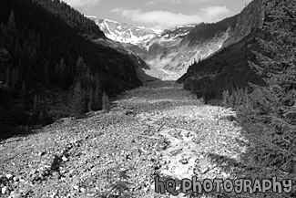 Nisqually Glacier black and white picture