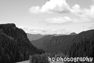 Hills & Clouds in Mt Rainier Park black and white picture