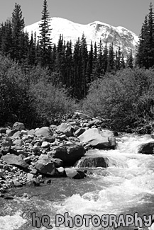 Mt. Rainier & River black and white picture