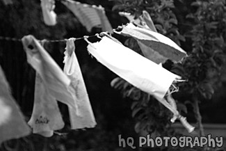 Rags on Clothes Line black and white picture