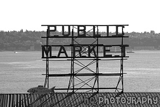 Public Market Sign Up Close black and white picture